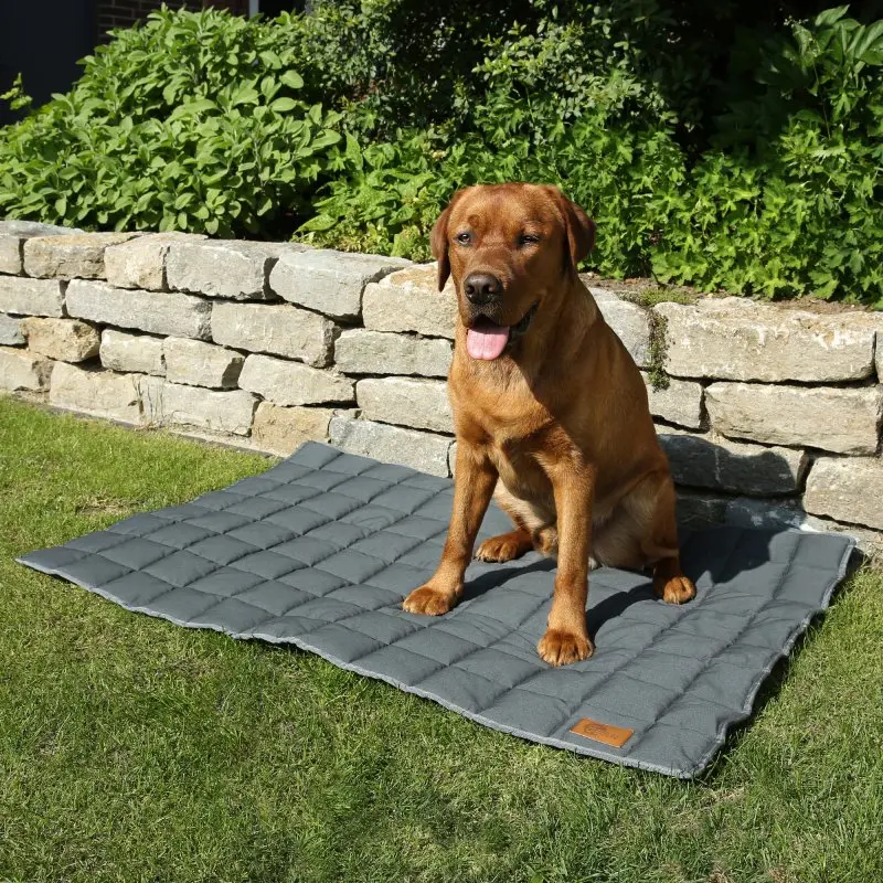 your GEAR Lana Hundematte 120 x 80 cm - Hundedecke, Baumwolle, robust, waschbar, Indoor & Outdoor