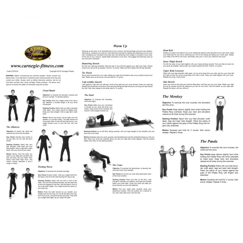 Carnegie Fitness Set with exercise ball, pump, two weight balls, Pilates ring, and cushioned yoga mat; shown with instructions and illustrations for various workout exercises. Ideal for home or studio fitness routines.