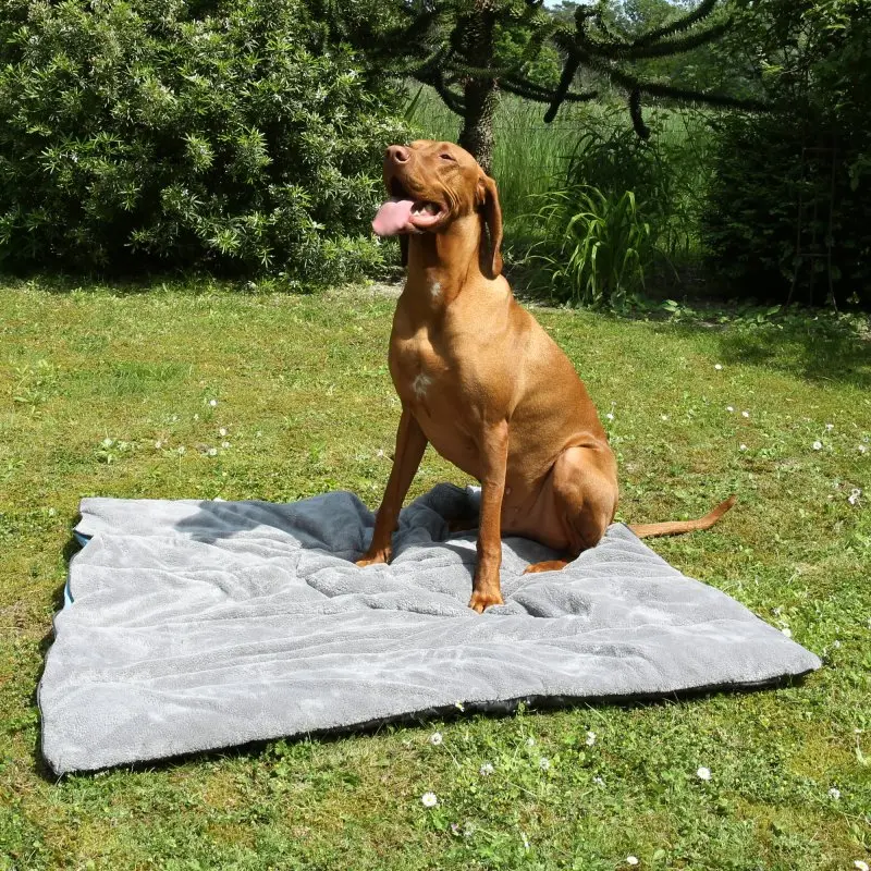 your GEAR Lodi - 3-in-1 Hundeschlafsack Hundedecke Hundehandtuch 100 x 60/120 cm weich warm waschbar