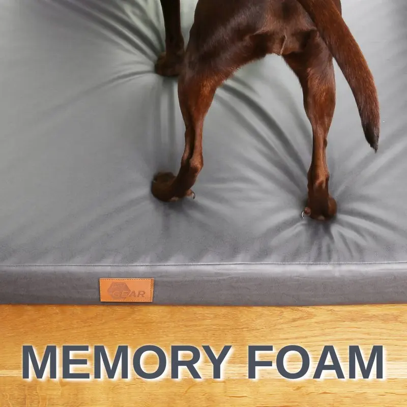 Orthopädisches Hundebett your GEAR Biella 120x80x10 cm in Grau, mit Memory Foam, Hund steht auf der weichen, waschbaren Matte; Etikett und Schriftzug „MEMORY FOAM“ sichtbar.