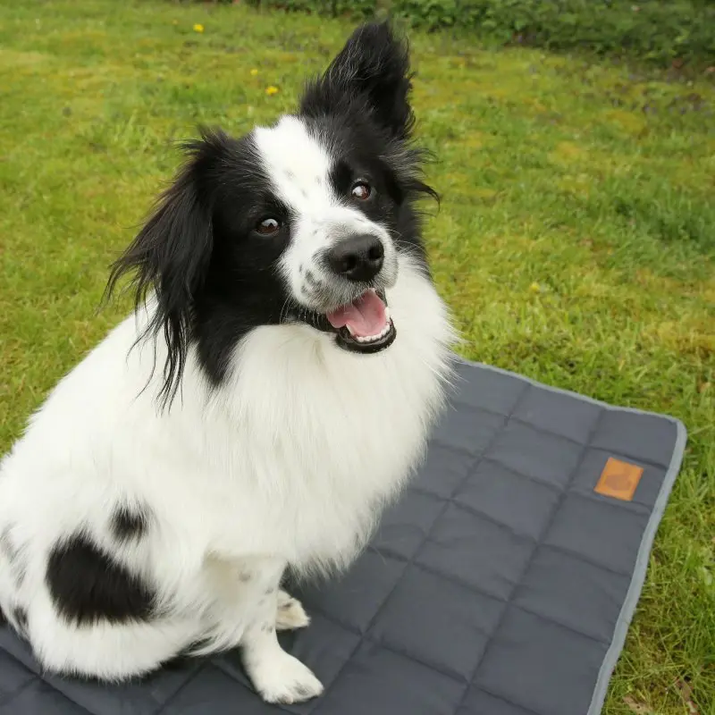 your GEAR Lana Hundematte 90 x 60 cm - Hundedecke, Baumwolle, waschbar, Indoor & Outdoor