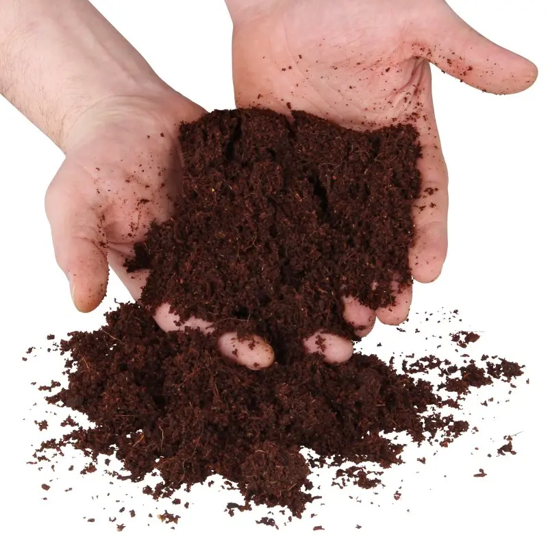 Due mani tengono della terra di cocco yourGEAR, marrone scuro e di consistenza fine, ideale come substrato sostenibile e torffrei per piante, semi e coltivazione, presentata sfusa senza confezione.