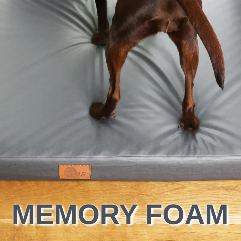 Orthopedic dog bed your GEAR Biella 100x70x10 cm in grey, memory foam, washable cover, OEKO-TEX certified, shown with a dog standing on it, wooden floor, leather logo patch, text "MEMORY FOAM".